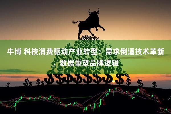牛博 科技消费驱动产业转型：需求倒逼技术革新，数据重塑品牌逻辑