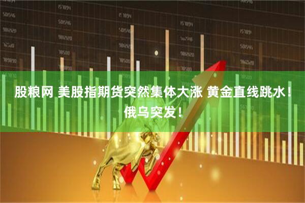 股粮网 美股指期货突然集体大涨 黄金直线跳水！俄乌突发！