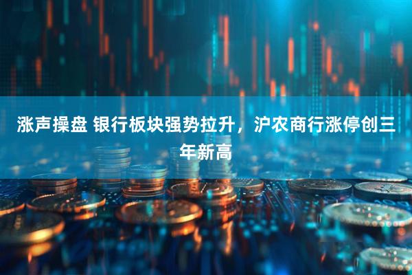 涨声操盘 银行板块强势拉升，沪农商行涨停创三年新高
