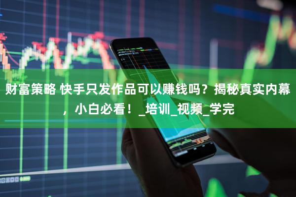 财富策略 快手只发作品可以赚钱吗？揭秘真实内幕，小白必看！_培训_视频_学完
