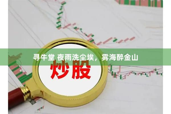 寻牛堂 夜雨洗尘埃，雾海醉金山