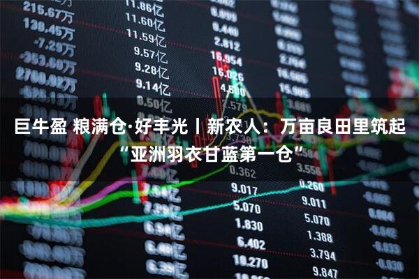 巨牛盈 粮满仓·好丰光丨新农人：万亩良田里筑起“亚洲羽衣甘蓝第一仓”