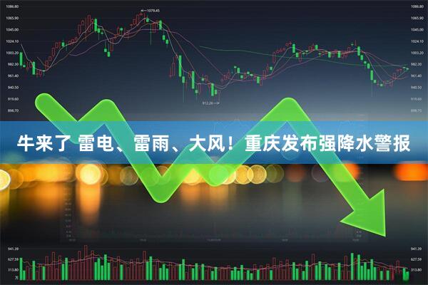 牛来了 雷电、雷雨、大风！重庆发布强降水警报