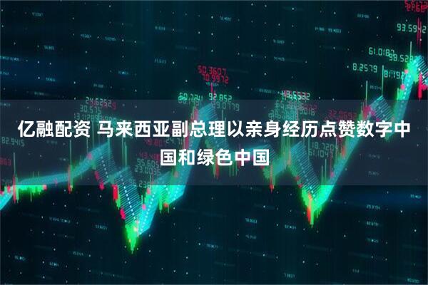 亿融配资 马来西亚副总理以亲身经历点赞数字中国和绿色中国
