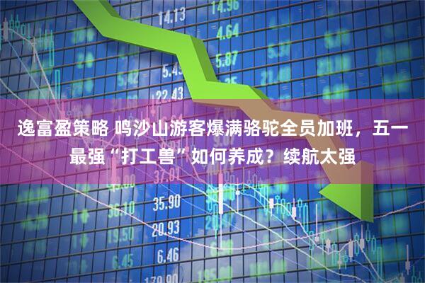 逸富盈策略 鸣沙山游客爆满骆驼全员加班，五一最强“打工兽”如何养成？续航太强